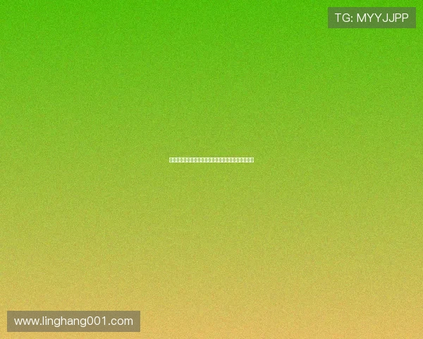 德甲新赛季精彩开启拜仁多特领跑沙尔克回归豪门之路